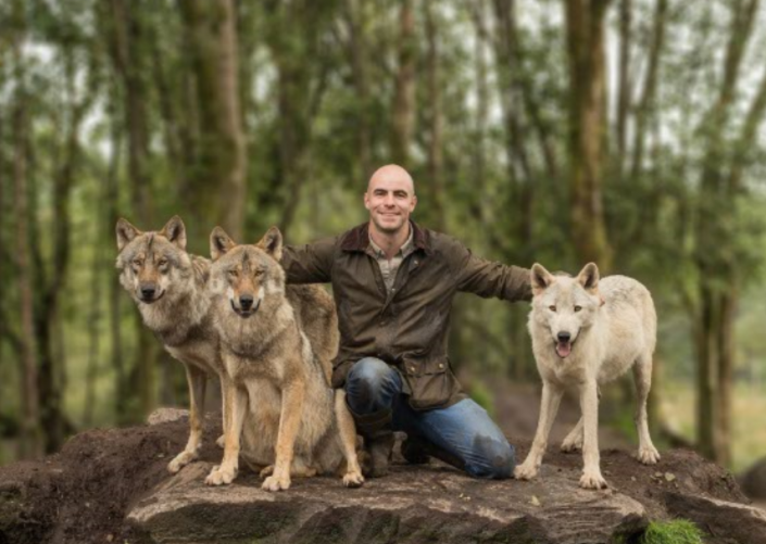 wolves3